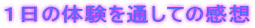 １日の体験を通しての感想 